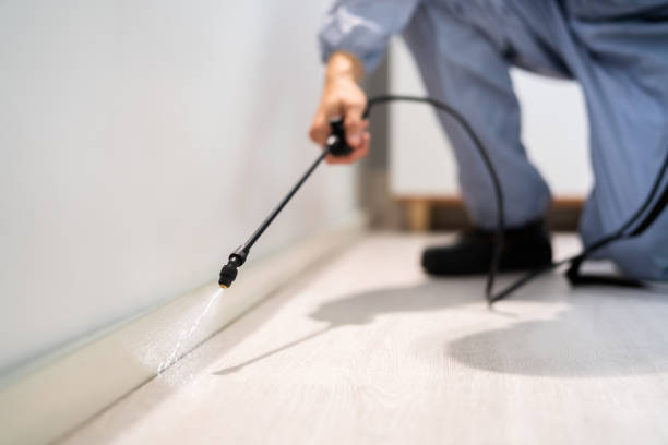 Licensed Termite Control service in Petersburg, MI - Nex Pest Control