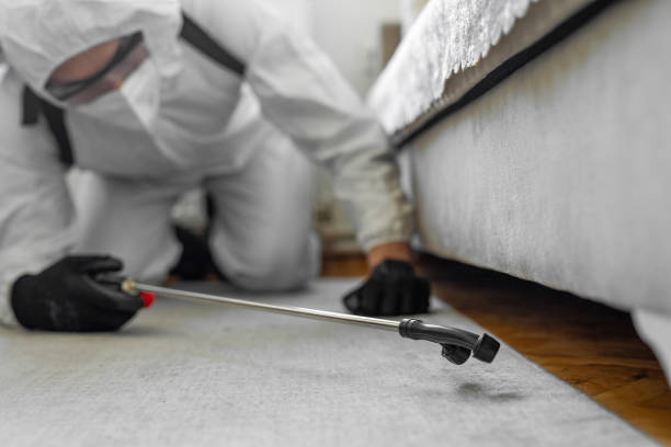 Professional Termite Control technician working in Petersburg, MI