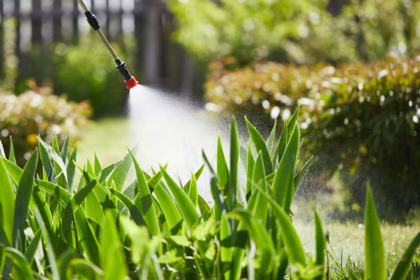 24/7 Emergency Termite Control experts in Petersburg, MI
