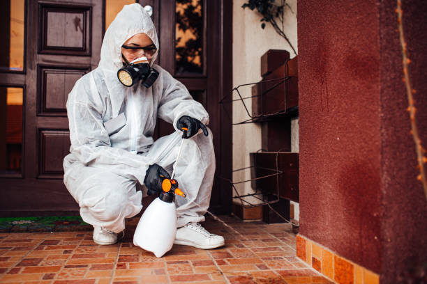 Reliable Termite Control contractor in Petersburg, MI by Nex Pest Control